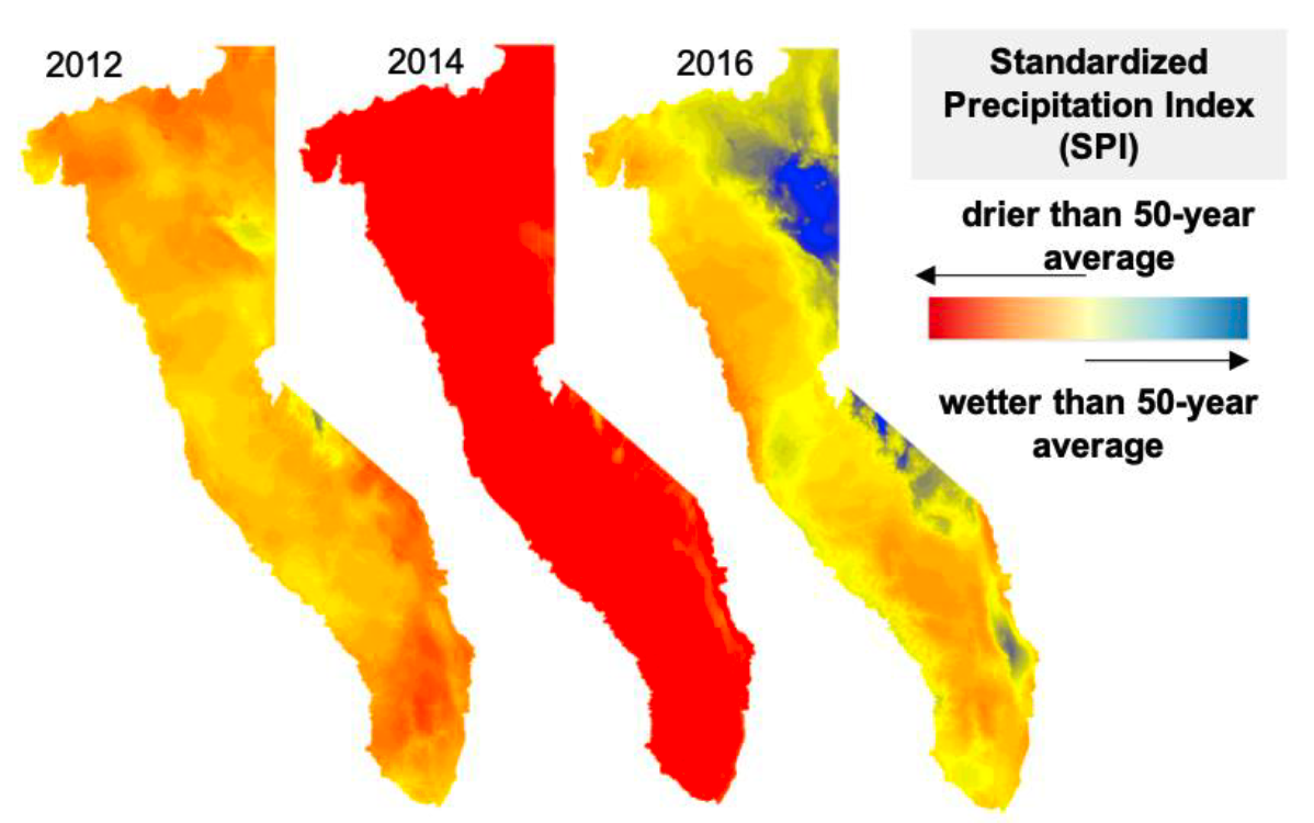 Sierra Nevada Forest Tree Mortality Projection