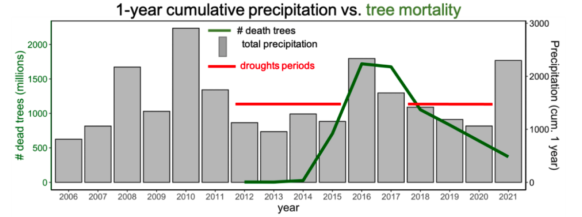 Sierra Nevada Forest Tree Mortality Projection